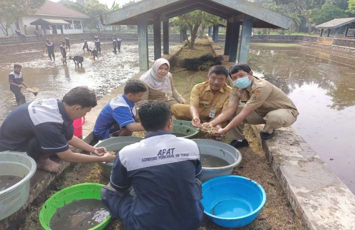 PANEN UDANG KEJURUAN APAT
